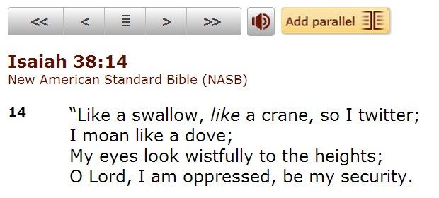 Bible Twitter