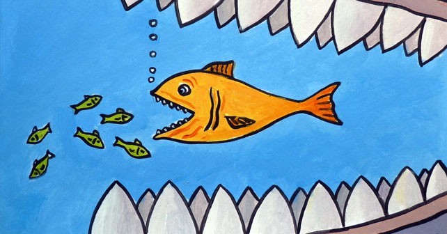 food chain