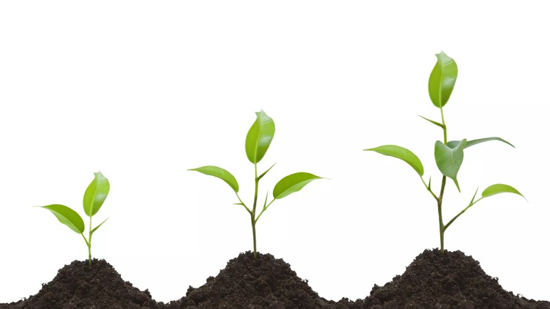 growing pains