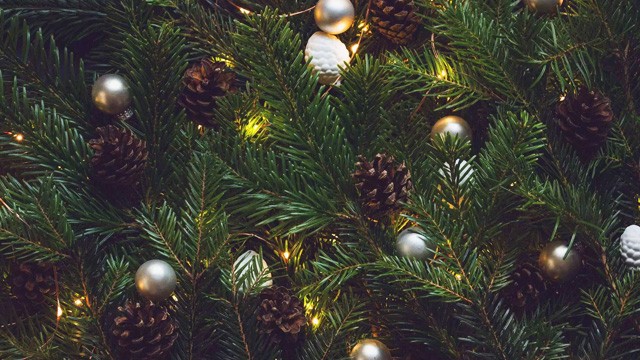 tree