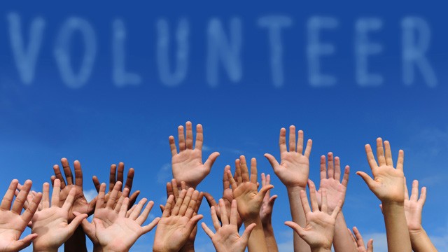 volunteer